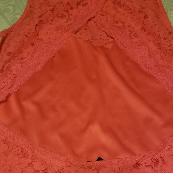 Express Lace Dress - Picture 5 of 6